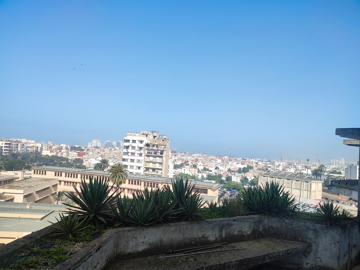 Immeuble professionnel R + 7 en plein bld haasan 1 de 7600 m a la vente - Photo 3