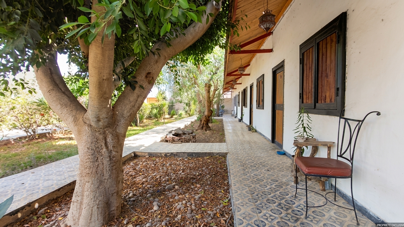 CF30 - Riad Casablanca - Photo 4